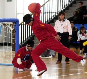 第8屆漢城國際殘疾人奧林匹克運動會