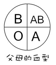 ab型血