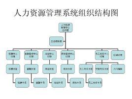 人力資源結構