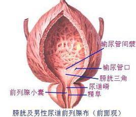 淋濁癃閉