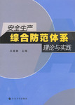 安全生產綜合防範體系理論與實踐