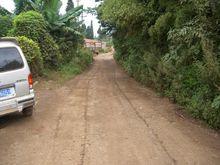 進村道路