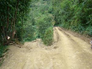 通村公路