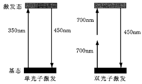 共焦顯微