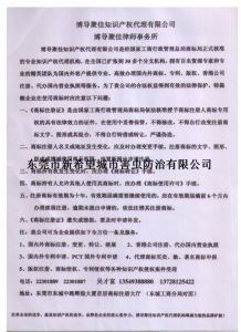 雙光源商標反面