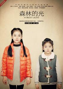 森林的光 森林的光