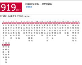 青島公交919路