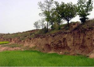 甘泉宮宮城城牆遺蹟