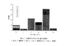 同位素組成