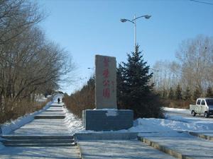 甘南縣雪景