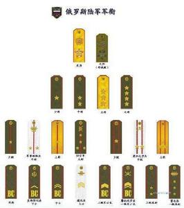 俄軍陸軍軍銜