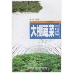 大棚蔬菜栽培技術