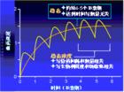 （圖）血藥濃度