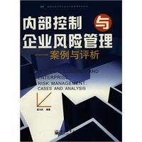 《內部控制與企業風險管理》