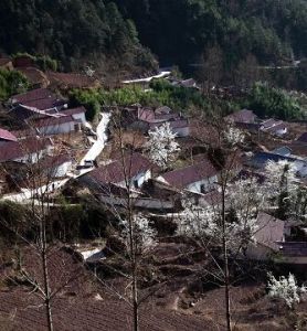 兩河口鎮