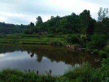 龍灘村[四川省內江市東興區楊家鎮龍灘村]