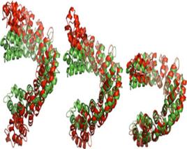 分子動力學法