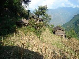 阿值娘乾自然村發展重點-住房改造