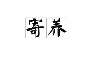 寄養[詞語]