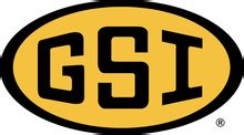 GSI