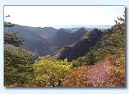 馬鞍山國家森林公園