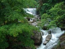 神龍川風景區景色