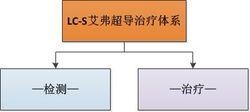 LC-S艾弗超導治療體系組成