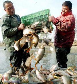 水庫施肥養魚