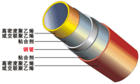 鋼塑複合管結構