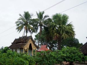 曼扎坎香村