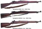 普林菲爾德m1903步槍 