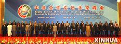 中非合作論壇北京峰會的非洲領導人合影