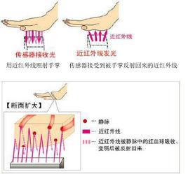 掌靜脈