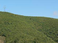 菖蒲塘村[雲南省臨滄市雲縣大朝山西鎮下轄村]