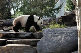 阿德萊德動物園