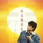 向太陽怒吼