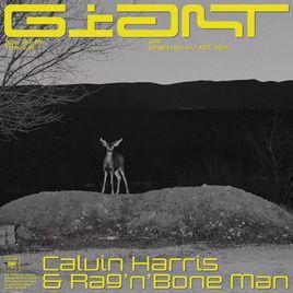 Giant[Calvin Harris製作單曲]