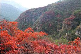 河北武安國家森林公園