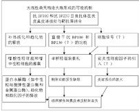 類天皰瘡