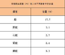 PS人體器官分布圖