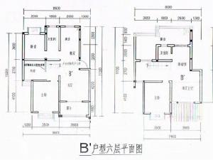 戶型圖