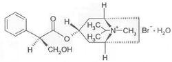 吸入用異丙托溴銨溶液