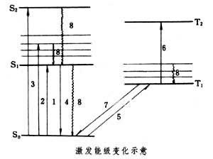 生物分子的激發態與能量轉移