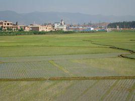 小樂台舊村