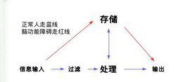 腦殘人士大腦運作模式猜想