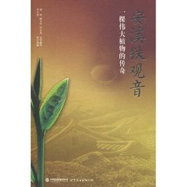 安溪鐵觀音:一棵偉大植物的傳奇