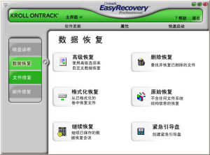 EasyRecovery Professional