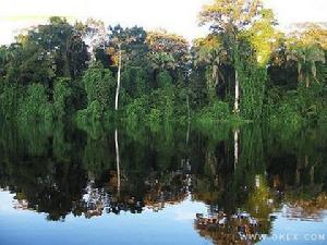 亞馬遜河中心保護區