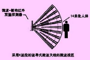 雙鑒探測報警器