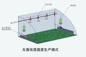 無毒優質蔬菜生產模式:土壤電消毒